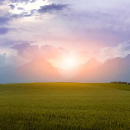 Апартаменты Grena - Grena Sk